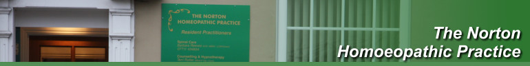 The Norton Homoeopathic Practice